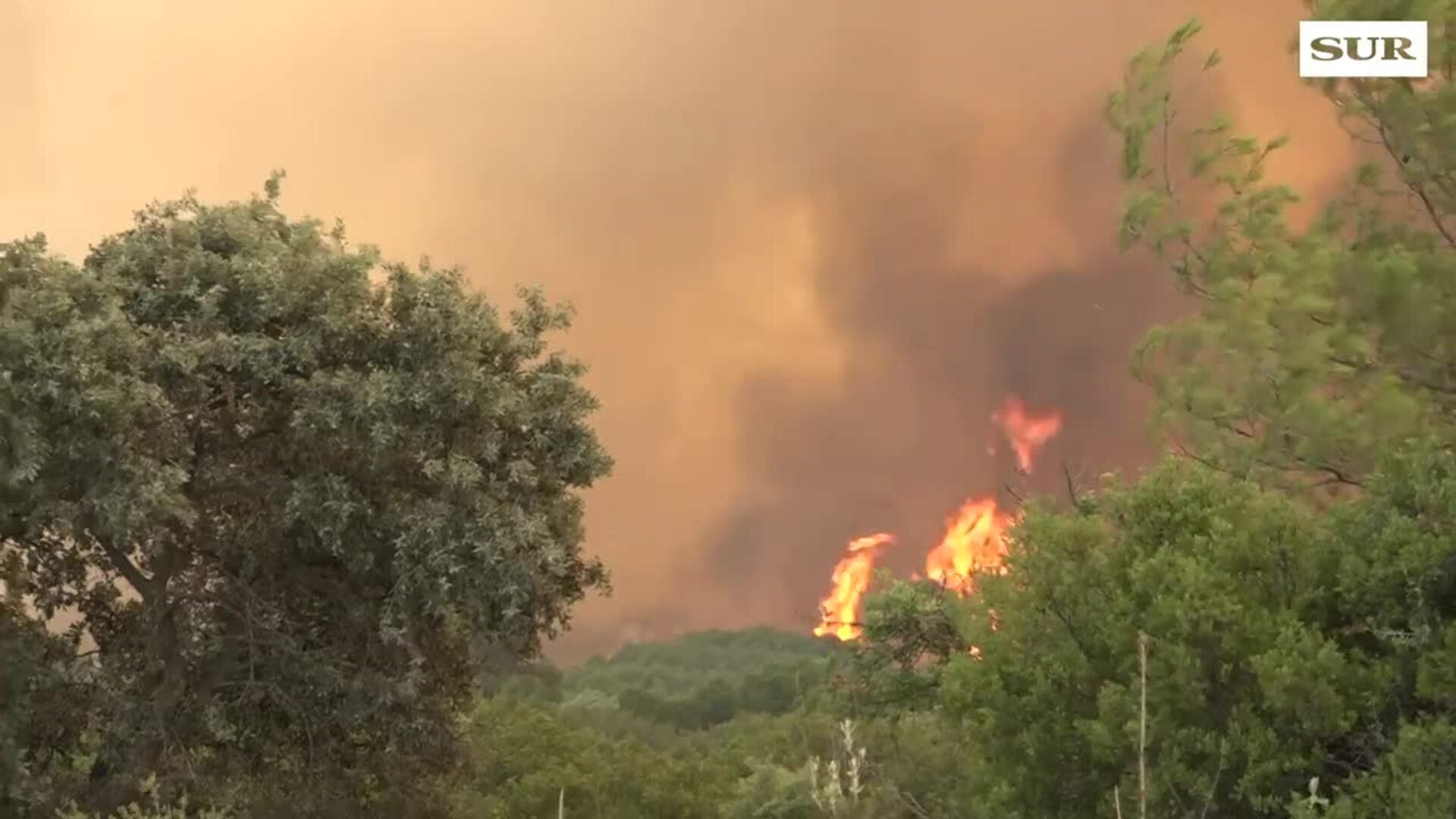 Incendio en Málaga: un fuego iniciado en Mijas se extiende por Alhaurín el Grande y Alhaurín de la Torre y obliga a desalojar a 3.200 vecinos