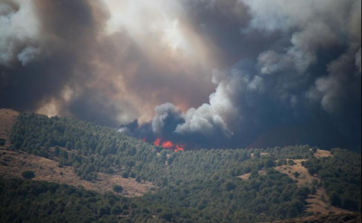 Imagen del incendio declarado este lunes en el término municipal de Ateca (Zaragoza).