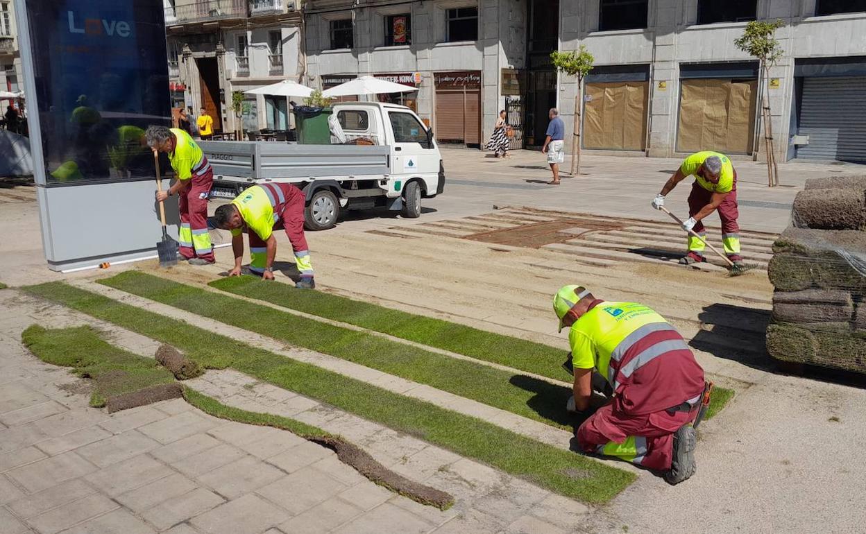 Operarios municipales colocan las nuevas tiras de césped en la Alameda Principal. 