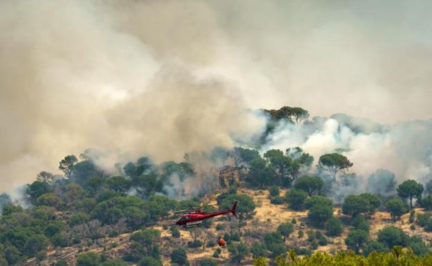 En Cebreros (Ávila) ya han ardido 4.000 hectáreas desde el sábado.