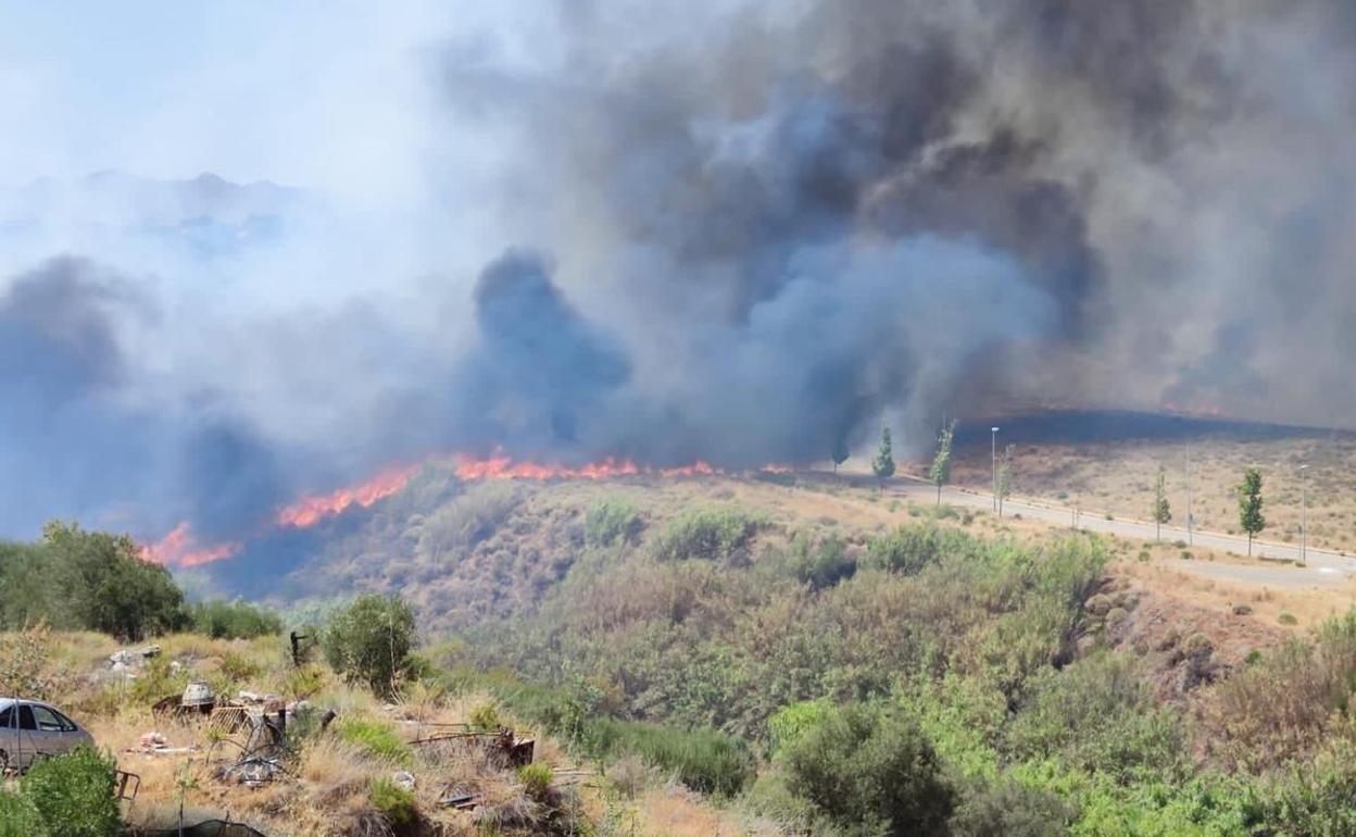 Infoca da por controlados los incendios de Mijas y Benahavís