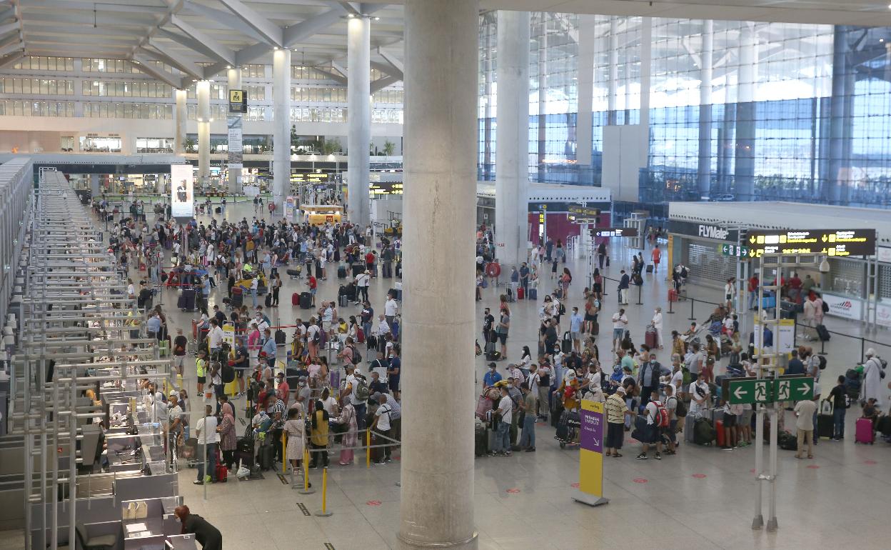 Vista de los mostradores de facturación del aeropuerto de Málaga. 