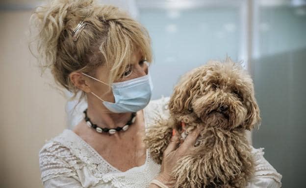 Hospital Veterinario SOS Animal: atendiendo a tu mascota 24 horas todo el  año | Diario Sur