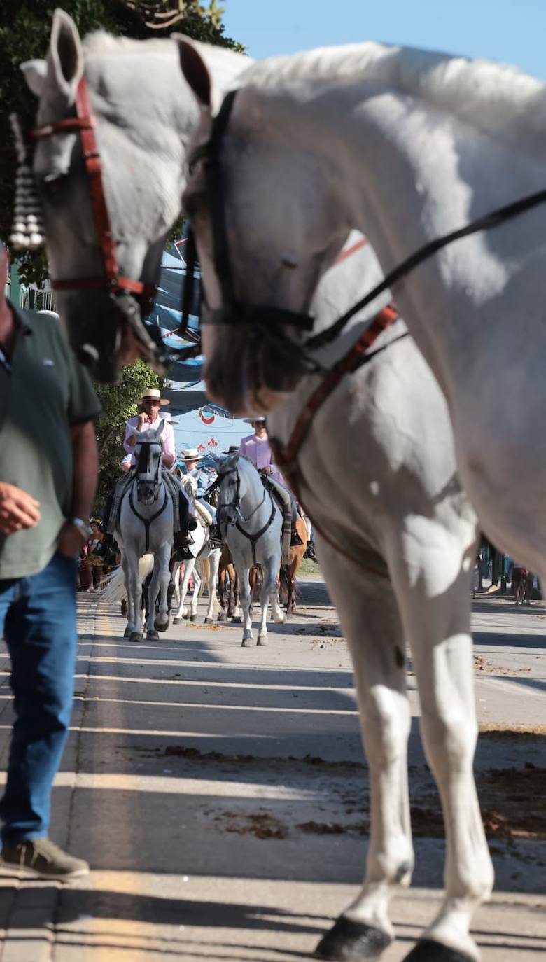 El calor no puede con las ganas de fiesta de malagueños y visitantes