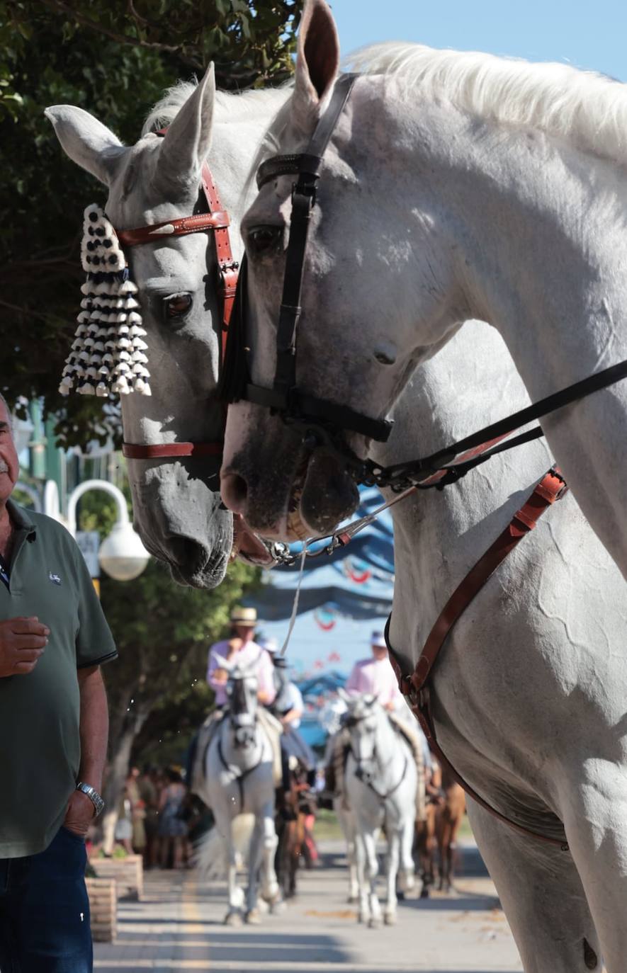 El calor no puede con las ganas de fiesta de malagueños y visitantes