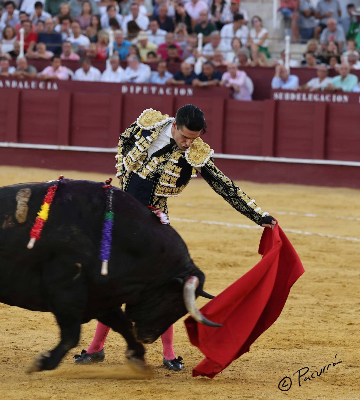 El torero malagueño quedó inconsciente en el ruedo tras un golpe en la cara al ser cogido de manera sobrecogedora. 