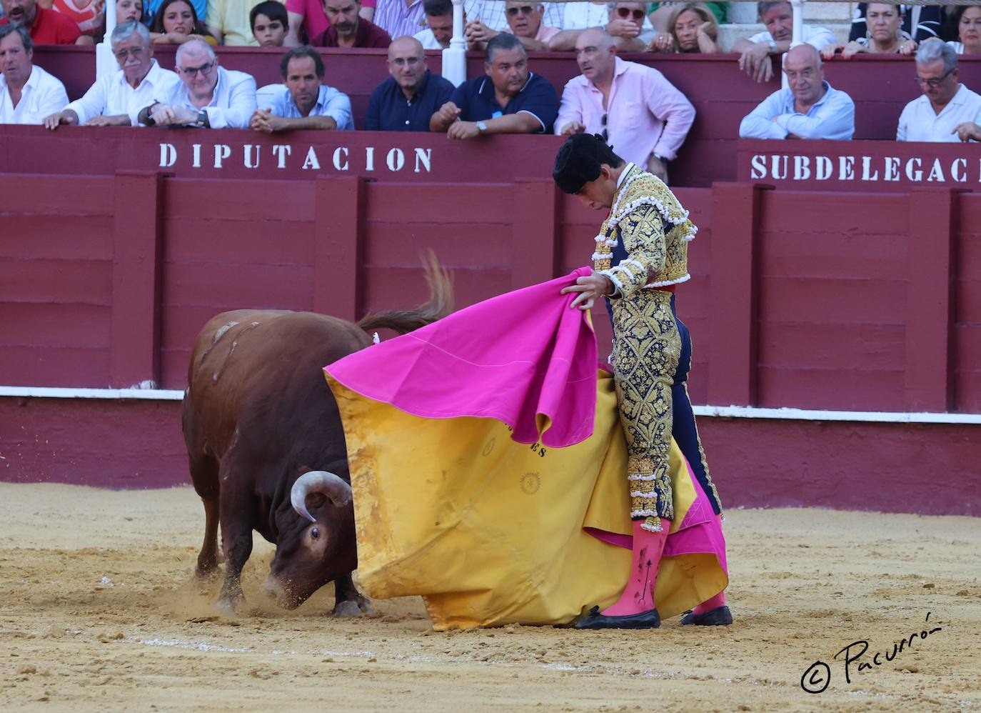 El torero malagueño quedó inconsciente en el ruedo tras un golpe en la cara al ser cogido de manera sobrecogedora. 