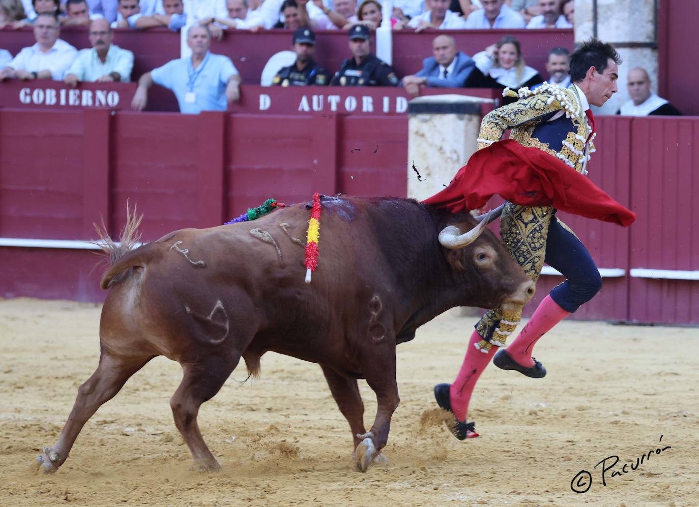 El torero malagueño quedó inconsciente en el ruedo tras un golpe en la cara al ser cogido de manera sobrecogedora. 