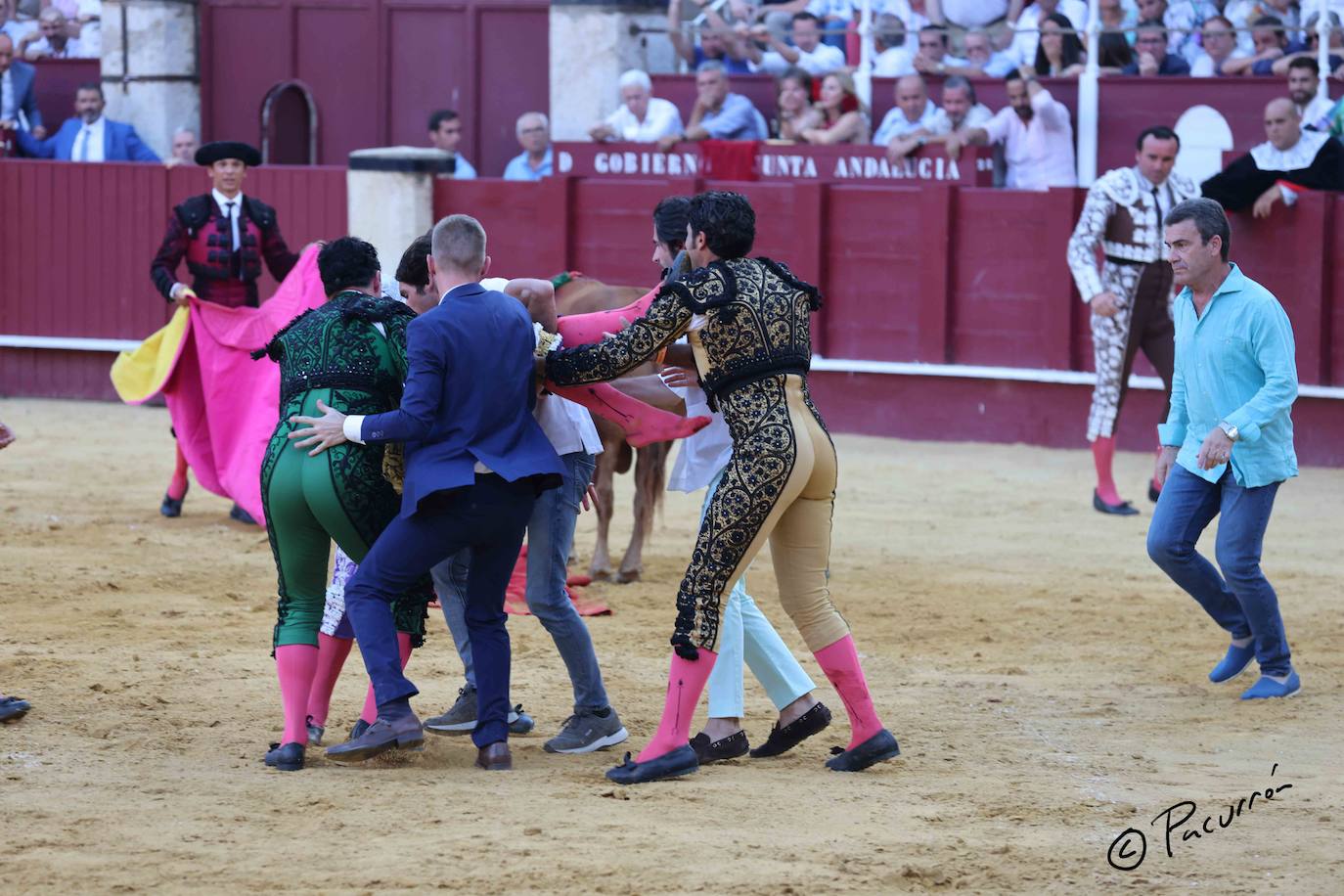 El torero malagueño quedó inconsciente en el ruedo tras un golpe en la cara al ser cogido de manera sobrecogedora. 