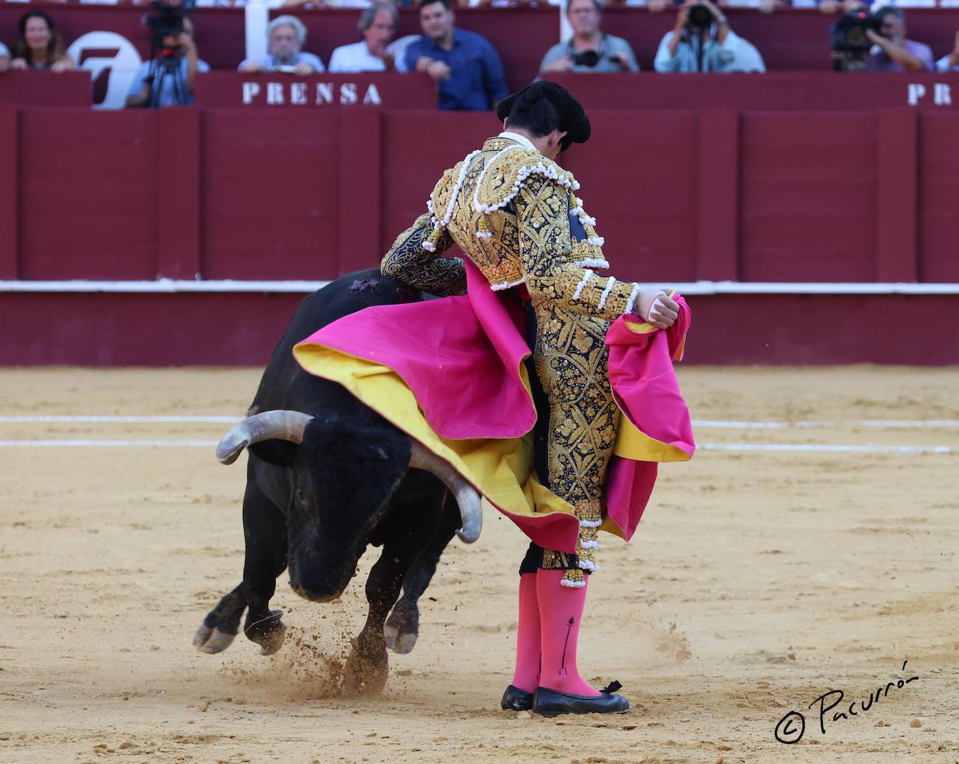 El torero malagueño quedó inconsciente en el ruedo tras un golpe en la cara al ser cogido de manera sobrecogedora. 