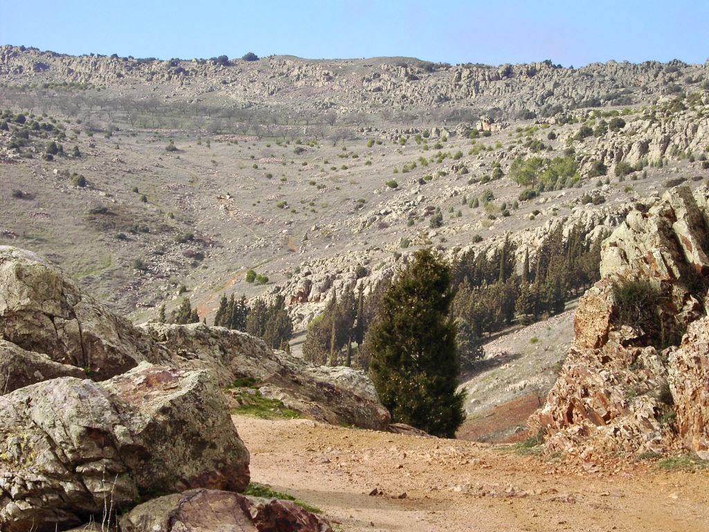 'Montón de Trigo', el yacimiento explorado en Los Yébenes.