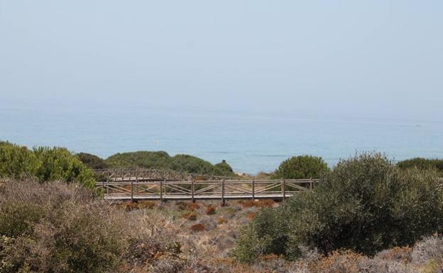 Playa de Cabopino. 