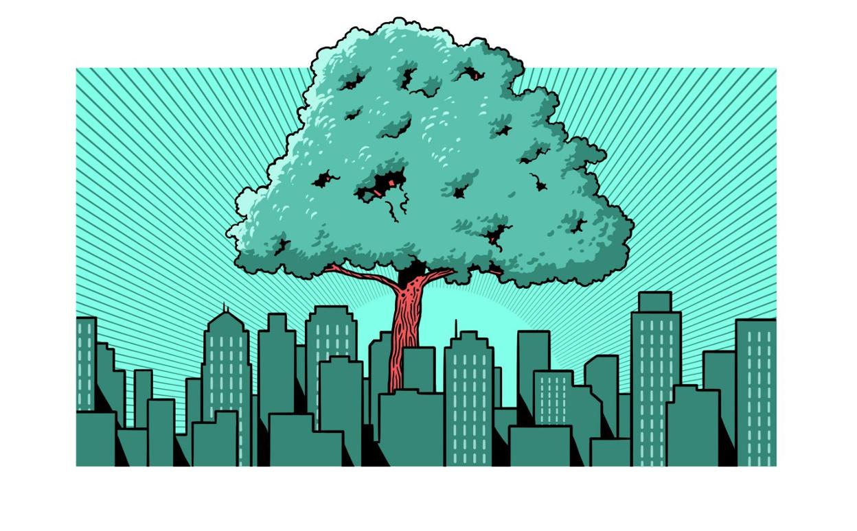 OLOR, MÁQUINA DEL TIEMPO