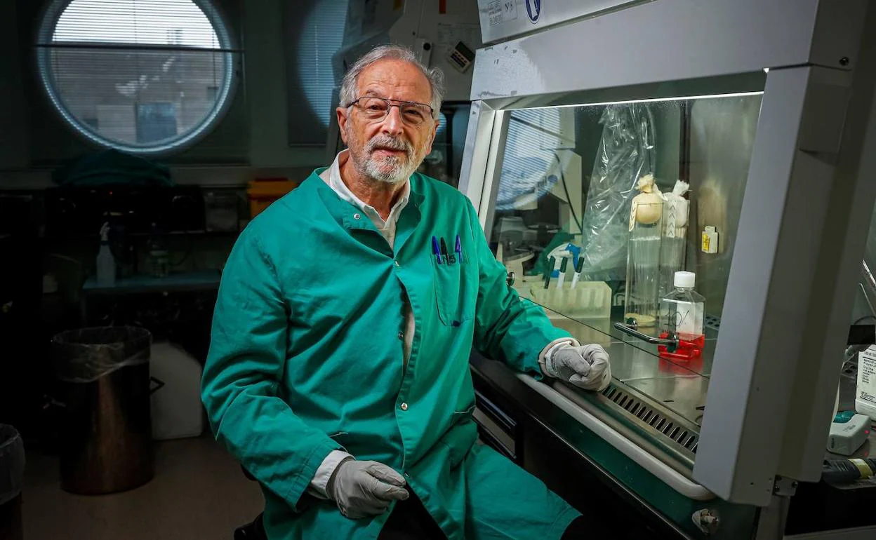 Enjuanes es el director del laboratorio de coronavirus del Centro Nacional de Biotecnología. 