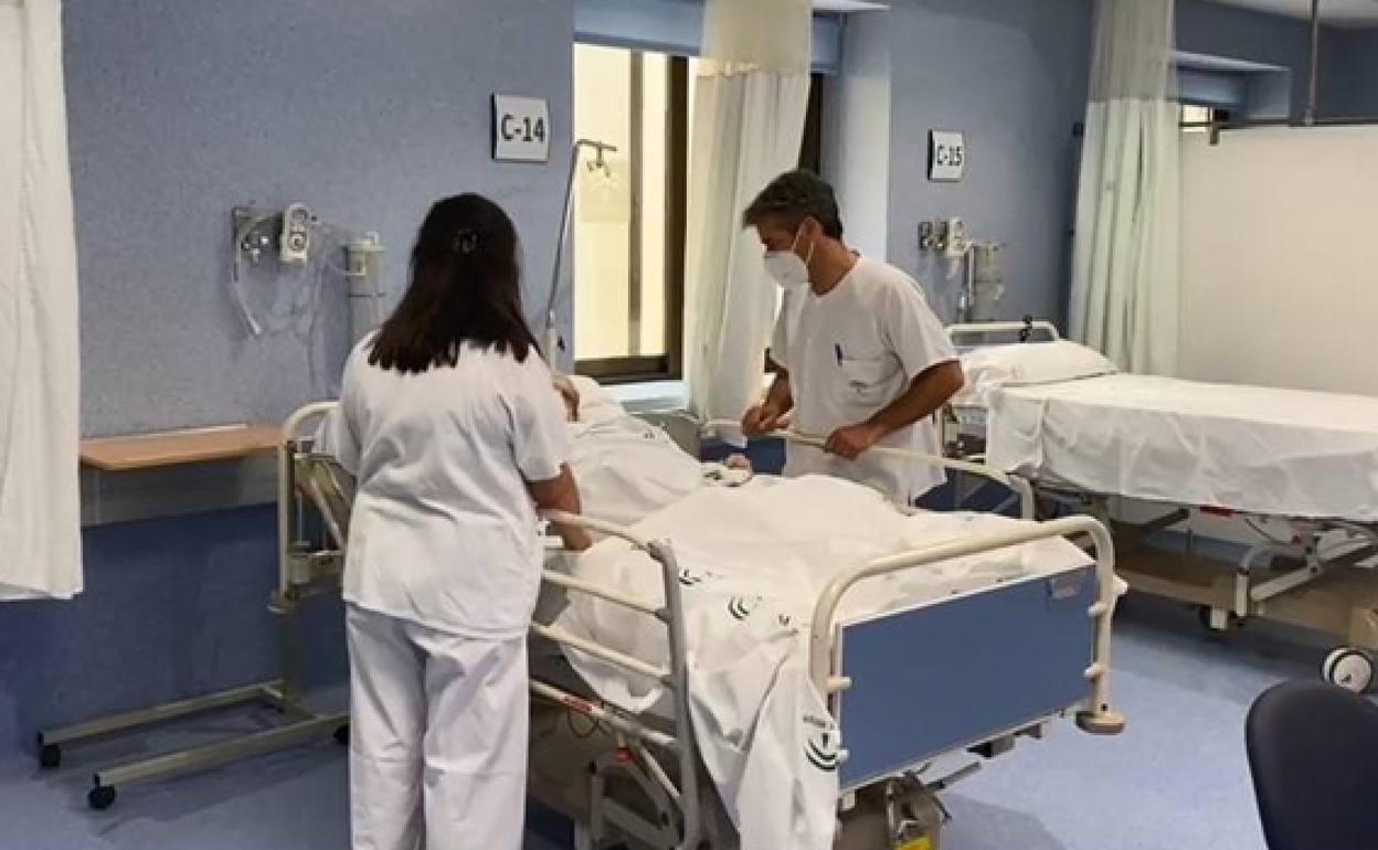 Andalucía suma 987 casos y 21 muertes más por coronavirus