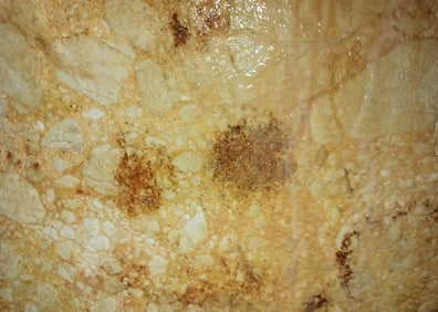 Imagen secundaria 1 - Representaciones figurativas en las cuevas de la Victoria/Higuerón.SUR