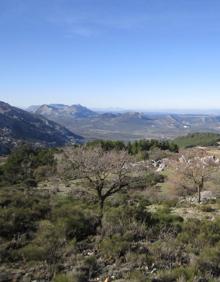 Imagen secundaria 2 - Parque del Arborismo. El 'Derrumbaero'. Vista panorámica desde el mirador del Alto Hondonero.