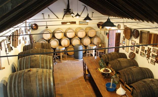 Moscatel. En la bodega Almijara, que está un paso del pueblo, se pueden comprar vinos artesanales.