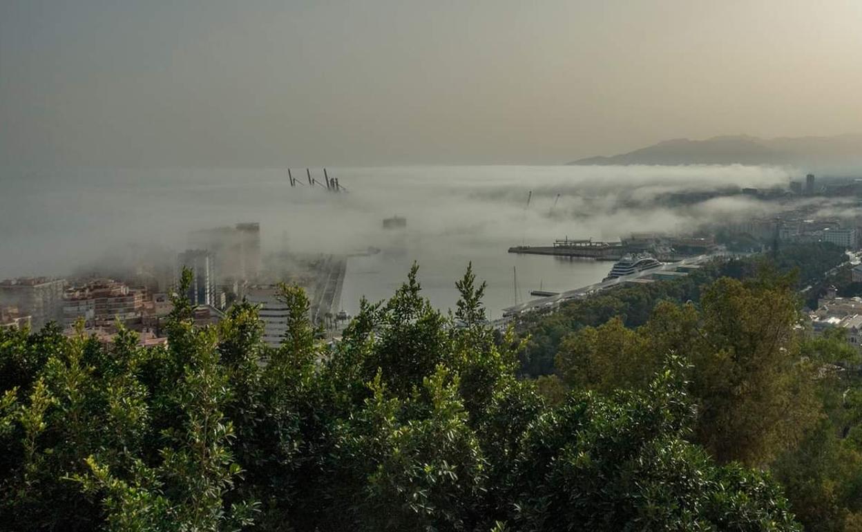 Málaga capital ha dejado bellas postales cubierta por la densa niebla. 