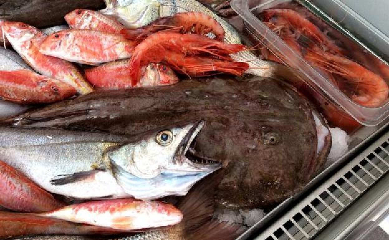 Bares donde comer en Cádiz: Los tres bares de barrio que no te puedes perder en Cádiz con Soletes Repsol