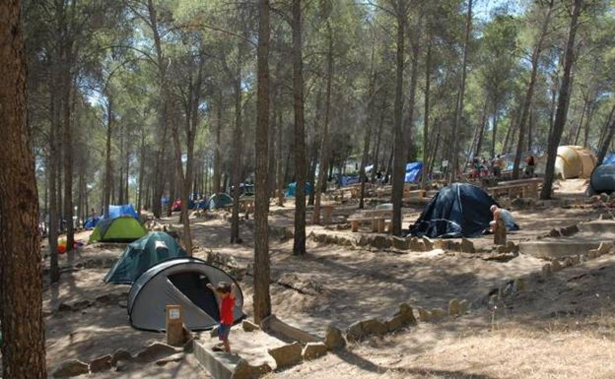 Conil, Tarifa y Barbate lideran las pernoctaciones de campings en Andalucía en el mes de agosto