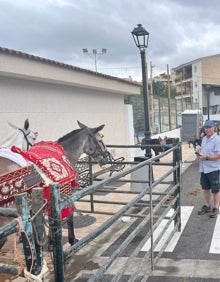 Imagen secundaria 2 - Tres imágenes de la celebración que ha tenido lugar en el municipio axárquico. 