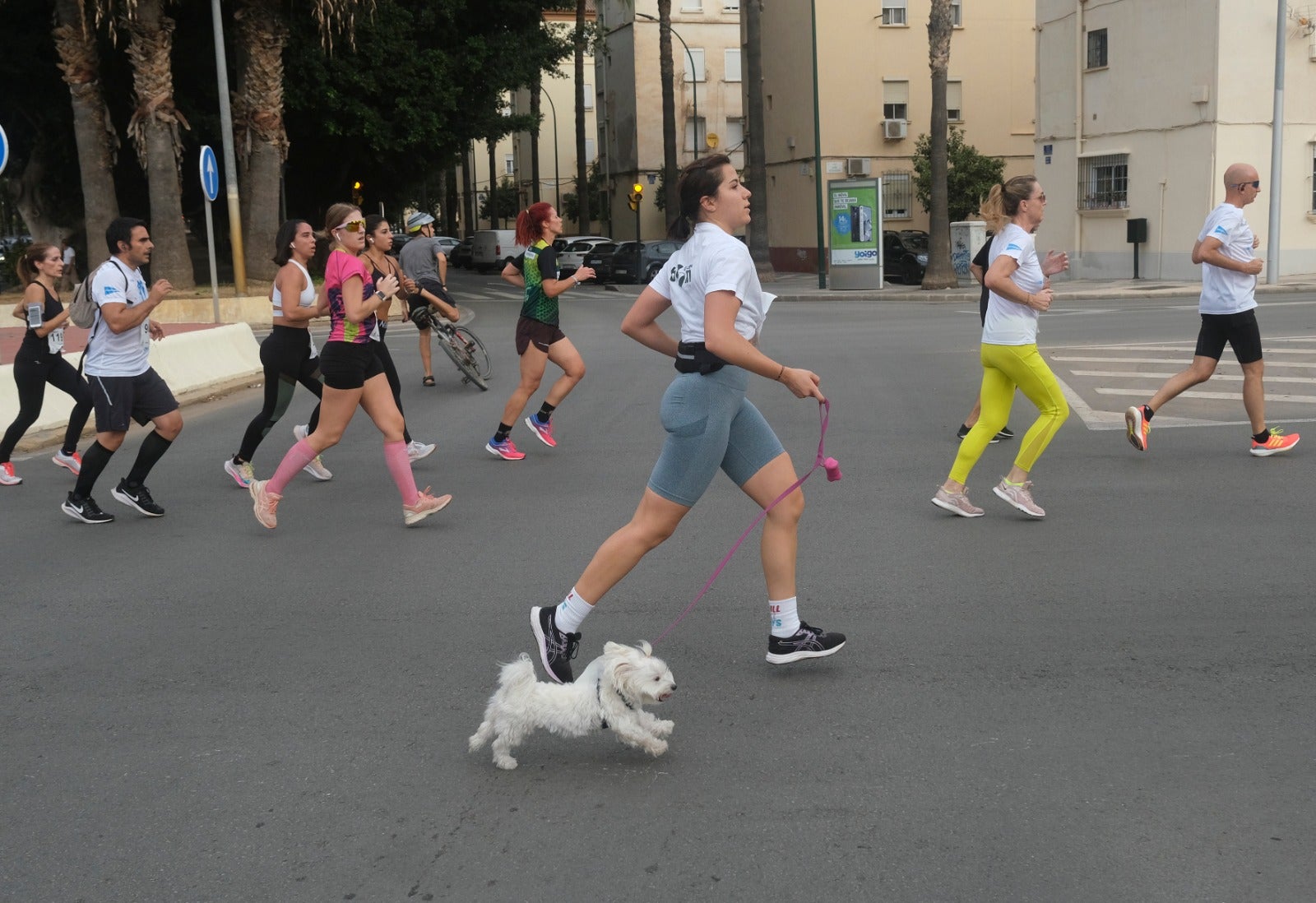 Casi 11.000 atletas participan este domingo en esta prueba que discurre por la capital malagueña.