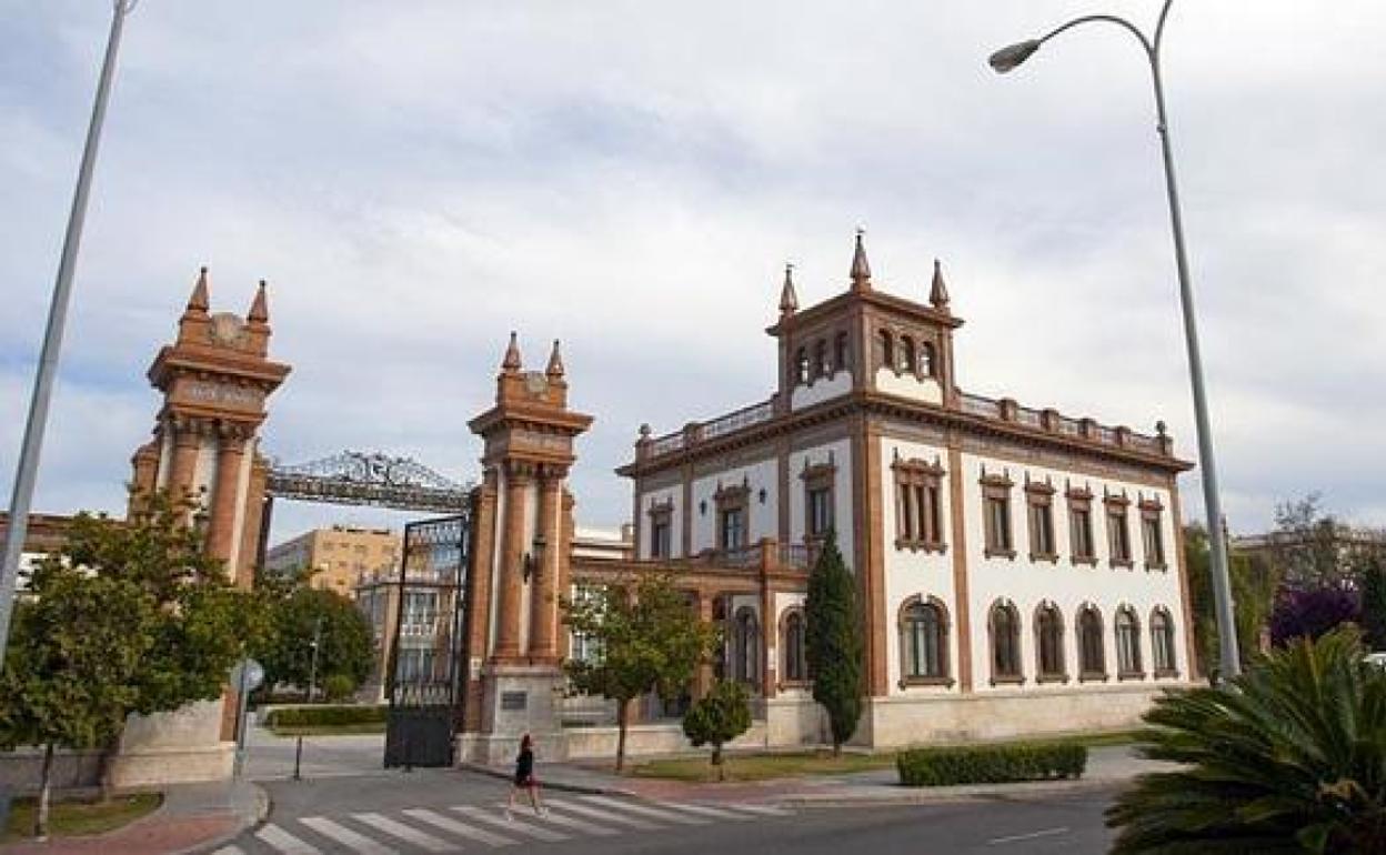 Málaga recibe dos millones para desarrollar la primera incubadora de alta tecnología en el Metaverso