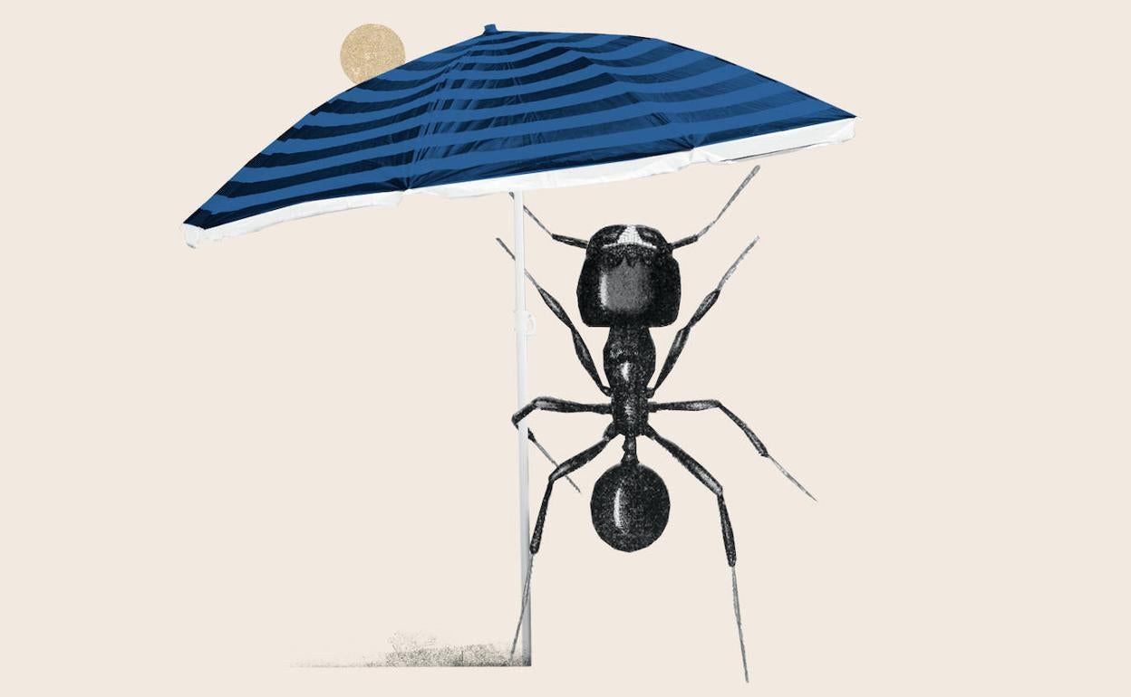 La cigarra y la hormiga 2022