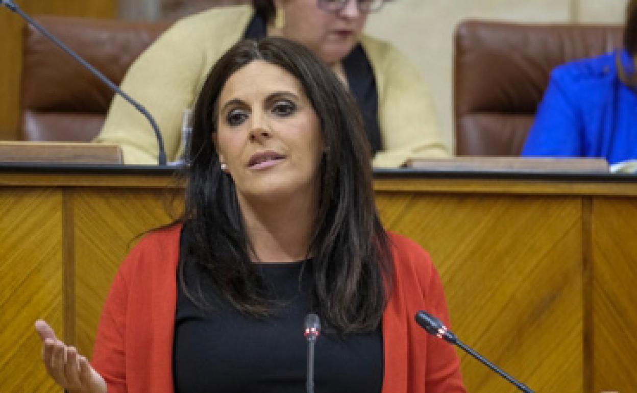 Ángeles Férriz, portavoz socialista en el Parlamento. 