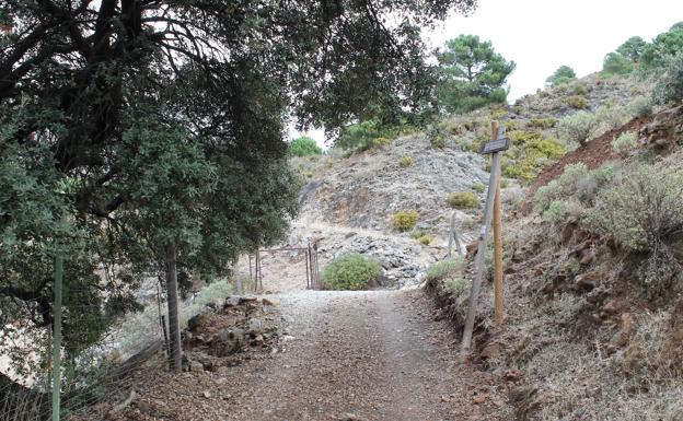 En este punto se deja el carril y se toma un sendero descendente a la izquierda.