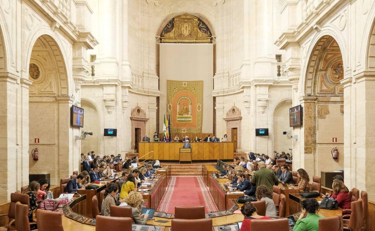 Un momento de la sesión plenaria de este miércoles en el Parlamento de Andalucía. 