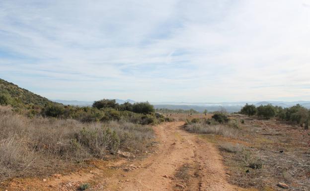 Desde la parte más elevada de la ruta se ve el territorio de tres provincias andaluzas: Sevilla, Málaga y Córdoba