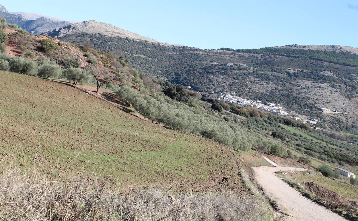 Este recorrido ofrece bonitas panorámicas de Alfarnatejo