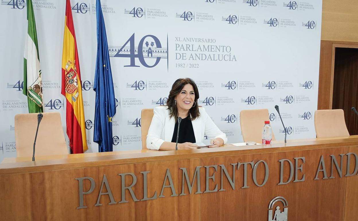 Ángeles Férriz, este miércoles en el Parlamento. 