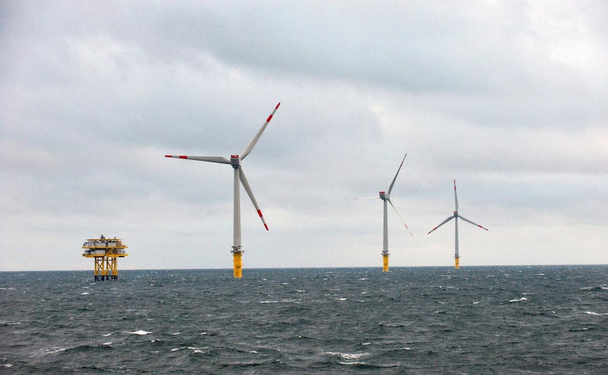 Parque eólico marino en el norte de Europa. 