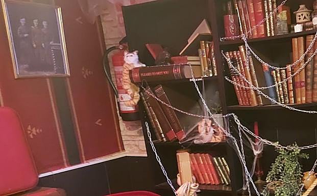 Imagen principal - Harry Potter: &#039;Los tres calderos&#039;, el restaurante de Fuengirola que ofrece bocados mágicos al más puro estilo Hogwarts