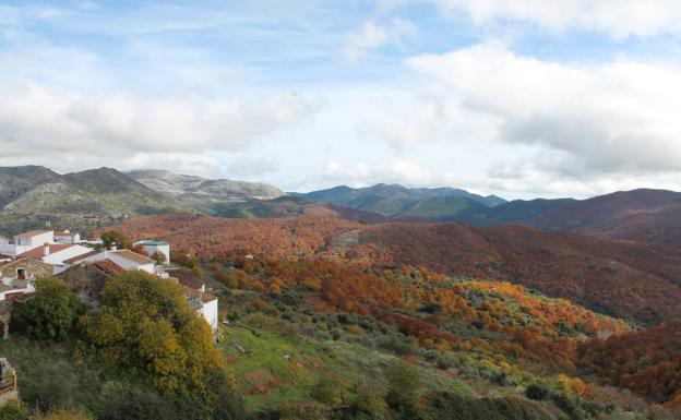 Vista panorámica del Bosque de Cobre desde el casco urbano de Cartajima.