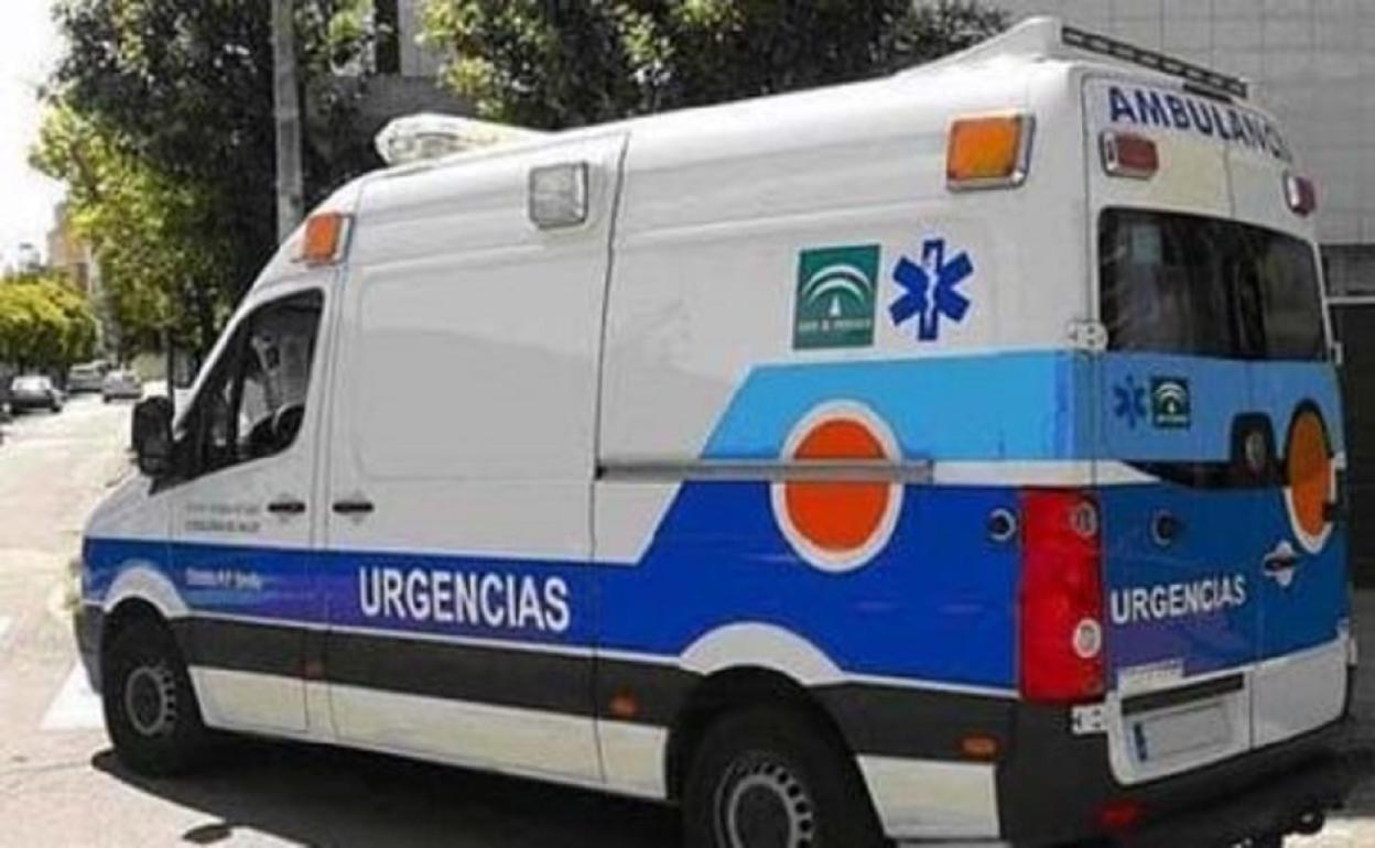 Sucesos Marbella: Ingresado con pronóstico grave un trabajador de 30 años tras caer en altura en una nave de Marbella