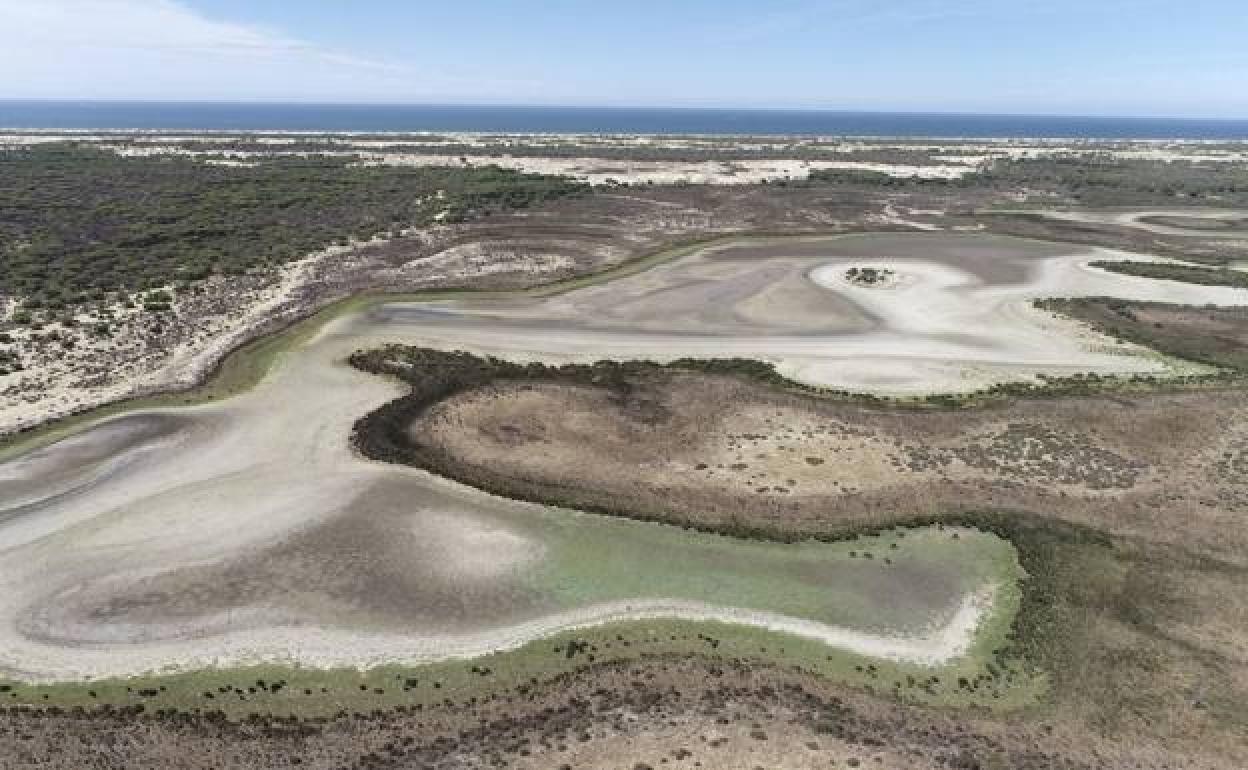 La sequía está causando estragos en Doñana, con la merma de sus recursos hídricos y el vaciado de muchos de sus humedales. 