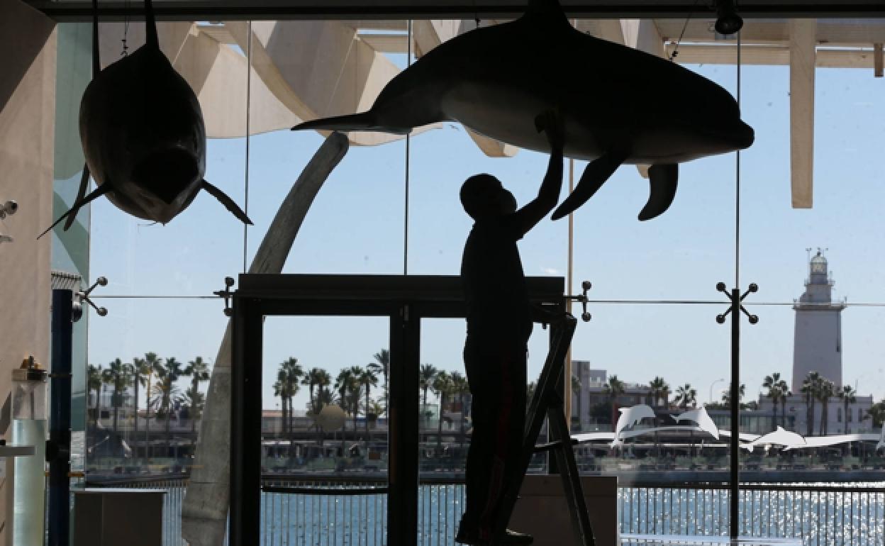 El museo Alborania del Puerto ya está cerrado al público. 