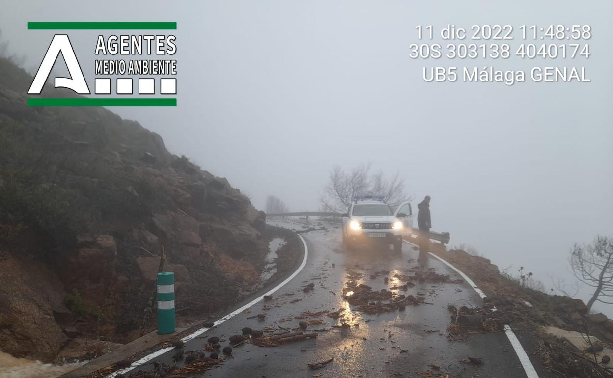 Los accesos a Los Reales, en Estepona, tuvieron que ser cortados. 