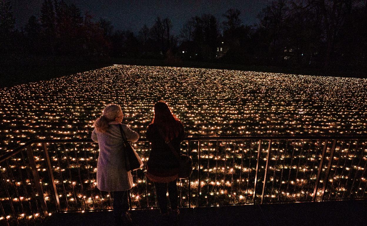 Navidad en el Jardín Botánico de Berlín.