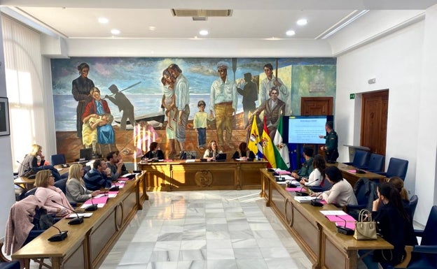 Imagen de la reunión de la comisión celebrada este jueves en Rincón de la Victoria. 