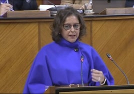 Catalina García, consejera de Salud y Consumo este miércoles en el Parlamento.