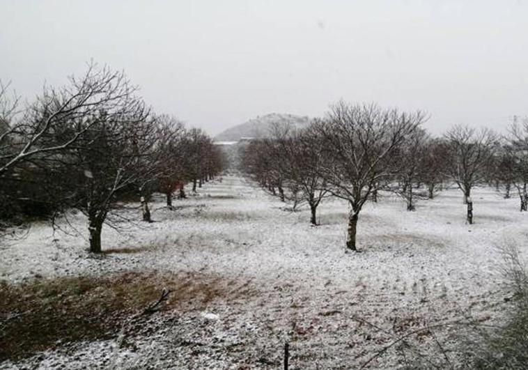 El frente frío podría dejar nevadas en la comarca de Ronda