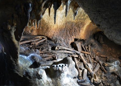 Imagen secundaria 1 - Hallazgo de una mandíbula, dientes y un osario en las cuevas de Ardales y Malalmuerzo.