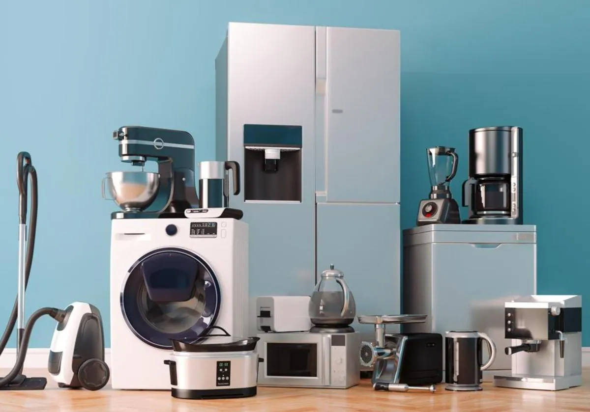 Consumir Aprendizaje Luminancia Freidora de aire, robot de cocina..., ¿cuánto consumen los pequeños  electrodomésticos? | Diario Sur