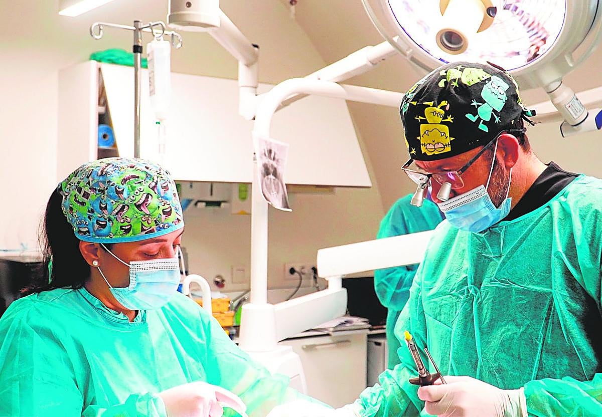 El Dr. Pablo Avilés durante una cirugía.