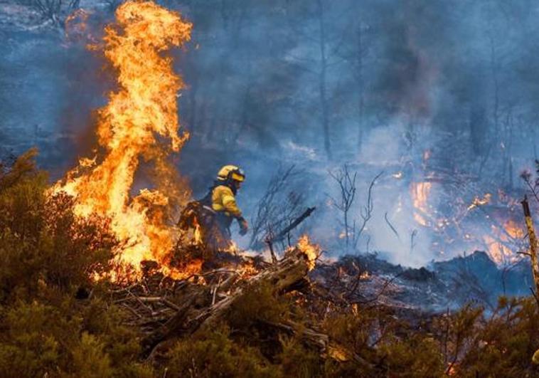La Junta subraya que «por primera vez» dedica más dinero a la prevención que a la extinción de incendios forestales